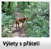 vylety_s_prateli